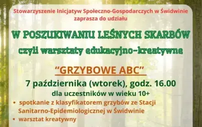 w poszukiwaniu leśnych skarbów - plakat