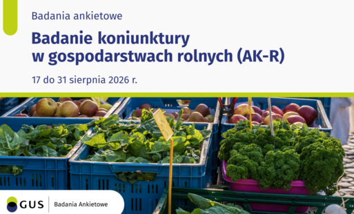 Badanie koniunktury w gospodarstwach rolnych, zdjęcie targu, warzywa, owoce