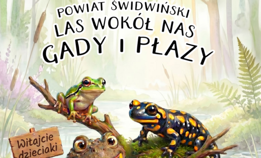 strona główna las wokół nas - gady i płazy 