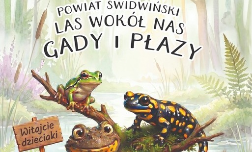 Pierwsza strona ebook'a
