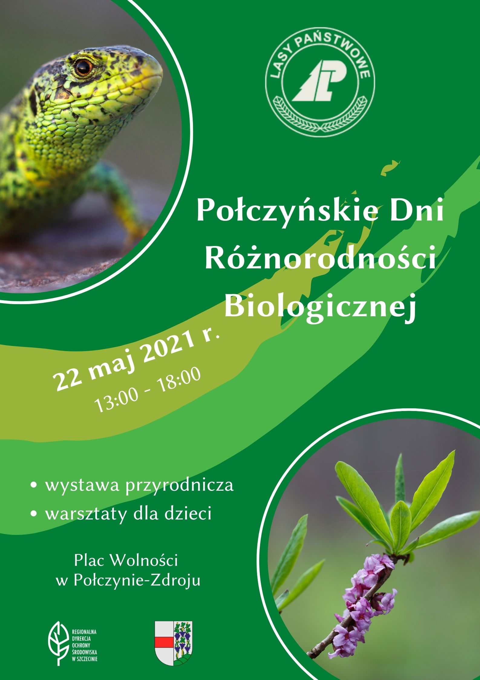 images/Poczyskie1.jpg